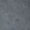 Spotted Bluestone Met facet 60x60x3 cm Gezoet