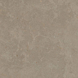 Limerock Taupe 60x60x2 cm