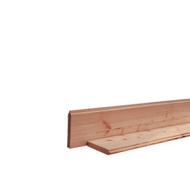 Douglas Blokhut Profiel 2,8x19,5x300 Blank
