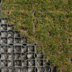Ecoraster