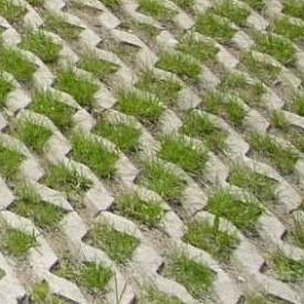 Grasbeton 40x60x12 cm Grijs (VE)