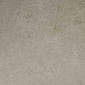 Jerusalem Grey 60x90x2 cm Colored Body