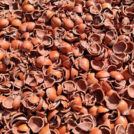 Hazelnootdoppen - Bigbag 0,5 kuub/500 liter