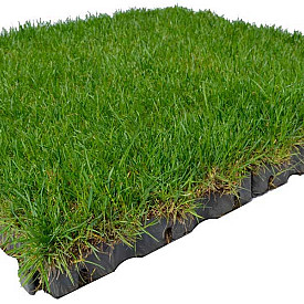 FirmusGRASS E45 100x100x4,5cm kant en klare Grastegel