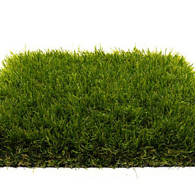 Kunstgras Oranjewoud 55
