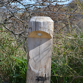 BOSCO - 180/200x650mm + 600mm ingraven - Kastanje - Amber - Kabel