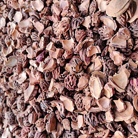 Gebroken perzikstenen - 20 liter zak