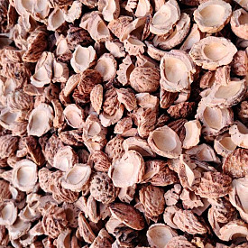 Halve perzikstenen - 20 liter zak