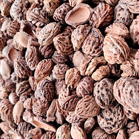 Hele perzikstenen - 20 liter zak