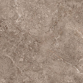 GeoCeramica® 60x60x4 Landstone Earth