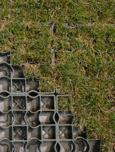 Ecoraster